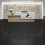 Reception 001 SPCT4000 Vesuvian Marble