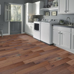 Black American Walnut6