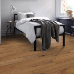Dusk Oak1