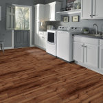 Thames Oak7